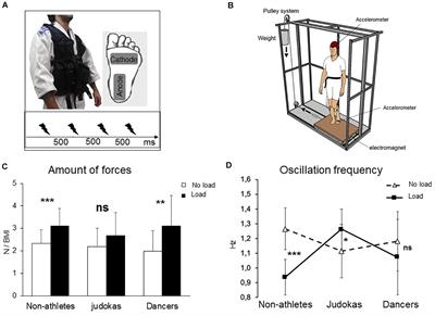 Learned Overweight Internal Model Can Be Activated to Maintain Equilibrium When Tactile Cues Are Uncertain: Evidence From Cortical and Behavioral Approaches